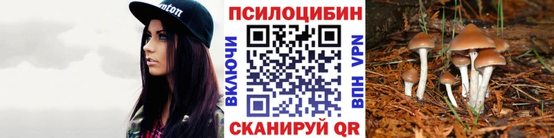 Галлюциногенные грибы Cubensis  наркотики  Безенчук 